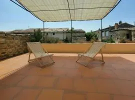Maison provençale, jardin arboré et terrasses proche Grignan 8-10 pers