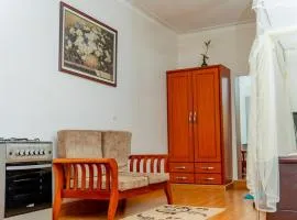 Elegant Ntinda Studio, Wi-Fi, Lush Green Views