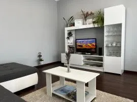 Modern two bedroom flat with balcony