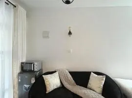 Modern Roysambu Studio Apartment