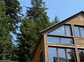 The Cotria's Chalet at GomisMta