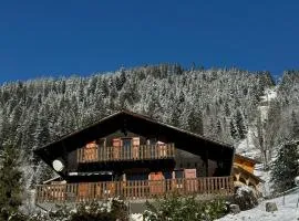 Charming, cosy chalet nestled in a breathtaking surrounding with spectacular, stunning mountain views