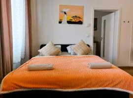 Apartment ČSA #4 in the Historic Center Hradec Králové