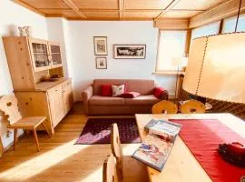 Apartament Loft Fiemme