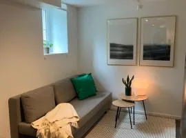 Newly renovated apartment close to city center