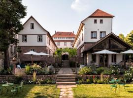 Palais Wunderlich, hotel poblíž Letiště Lahr - LHA, 