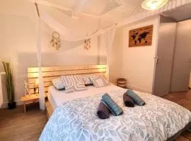 Triplex bohème près du Château à Sedan, idéal 2 couples