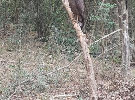 Kumana safari, hotel v destinaci Arugam Bay