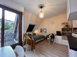 Studio Belle Vue