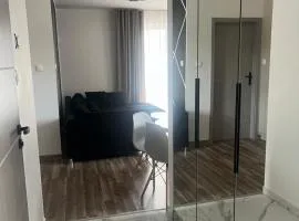 Duży Apartament Park City