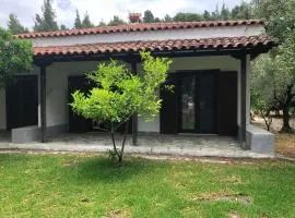 Lagomandra Nakis