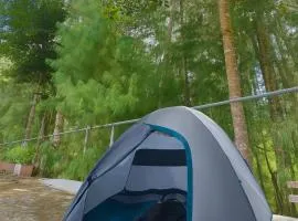 Campsite on a terrace within 1km of Ziro Music Festival