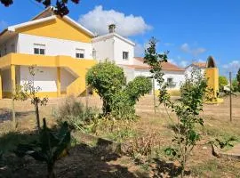 Quinta Nova