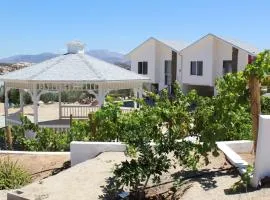 Kuxtalná en Valle de Guadalupe