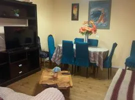 Arriendo casa 3 dormitorios en PIchilemu