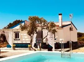 Quinta das palmeiras - Aldeia do Pico