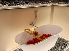 Wot Luxury Silver Center, hotell i Arad