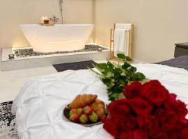 Wot Luxury Silver Center, hotel de lujo en Arad