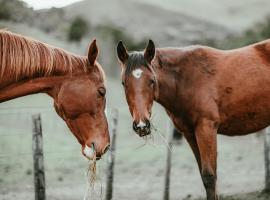 The Nest, h&ocirc;tel avec bain &agrave; remous &agrave; Tasman