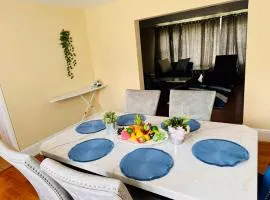 Riverdale Retreat Spacious 4BR DC Access