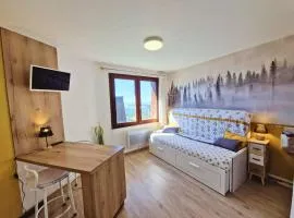 Studio 2 pers au pied des pistes - Ski et rando - FR-1-393-185