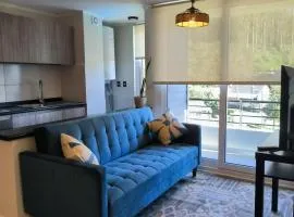 Departamento para 5 personas en Villarrica