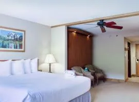 Stellar Location Direct view of Crested Butte Mountain Hot Tub Heated Pool Steam Room Gym