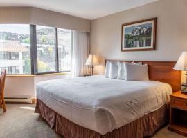 Studio by Resort with Pool Hot Tub Biking Trails, hotel v mestu Crested Butte