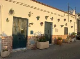 FlorCactus