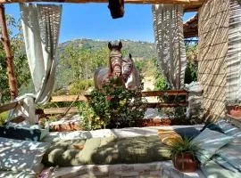 Auberge De La Cavalière