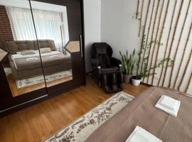Central main street apartament, khách sạn ở Vişeu de Sus
