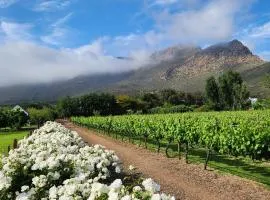 Klein Nektar Wine & Olive Estate