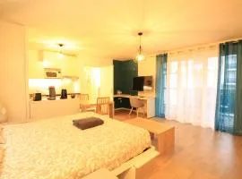 Luxury New - 8mn walk RER C-Paris-Eiffel Tower, Free Stree Parking, Private Balcony, Bultex Mattress 160x200, Elevator, Arpajon Hospital