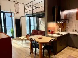 Roosevelta Residence Apartments - przy OFF Piotrkowska, FV - Klimatyzacja - WiFi, Orientarium, Atlas Arena, HopaLupa, Aquapark Fala, EC1