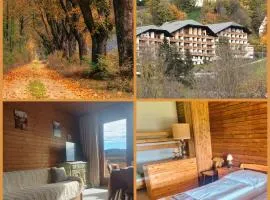 Sunny&Cozy - Maisonette Apartment in See Nähe
