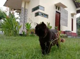 LK House Sukarara