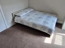 Terrace house