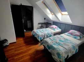 M Hostel