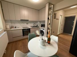 Aristizza Studio, pet-friendly hotel in Craiova