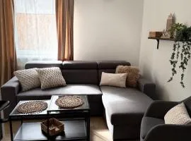 Dom Gościnny Ania, Apartament nr 3
