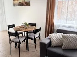 Dom Gościnny Ania, Apartament nr 3