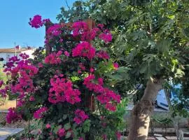 Harizma