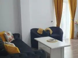 Apartament central Blaj