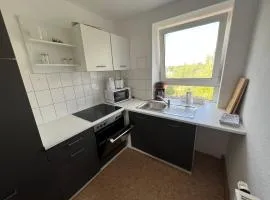Monteurzimmer und Ferienwohnung bei Leuna, Halle, Leipzig