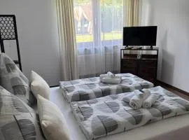 Cozy apartment