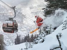 Peaceful Sunny Ski Out Ski In Condo, Parking, Pets，特柳賴德的分租公寓