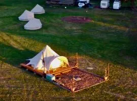 Glamping and Camping at The Orchard
