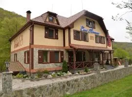 Syni Potoky