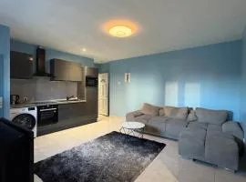Appartement en centre-ville