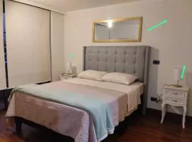 Apartamento 1D 1 B Metro Manuel Montt